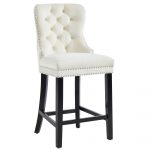 Worldwide Rizzo 26'' Counter Stool, set of 2