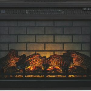 W100 Fireplace Insert